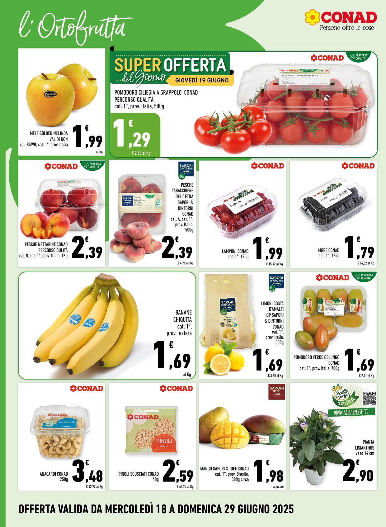 Taglio Netto