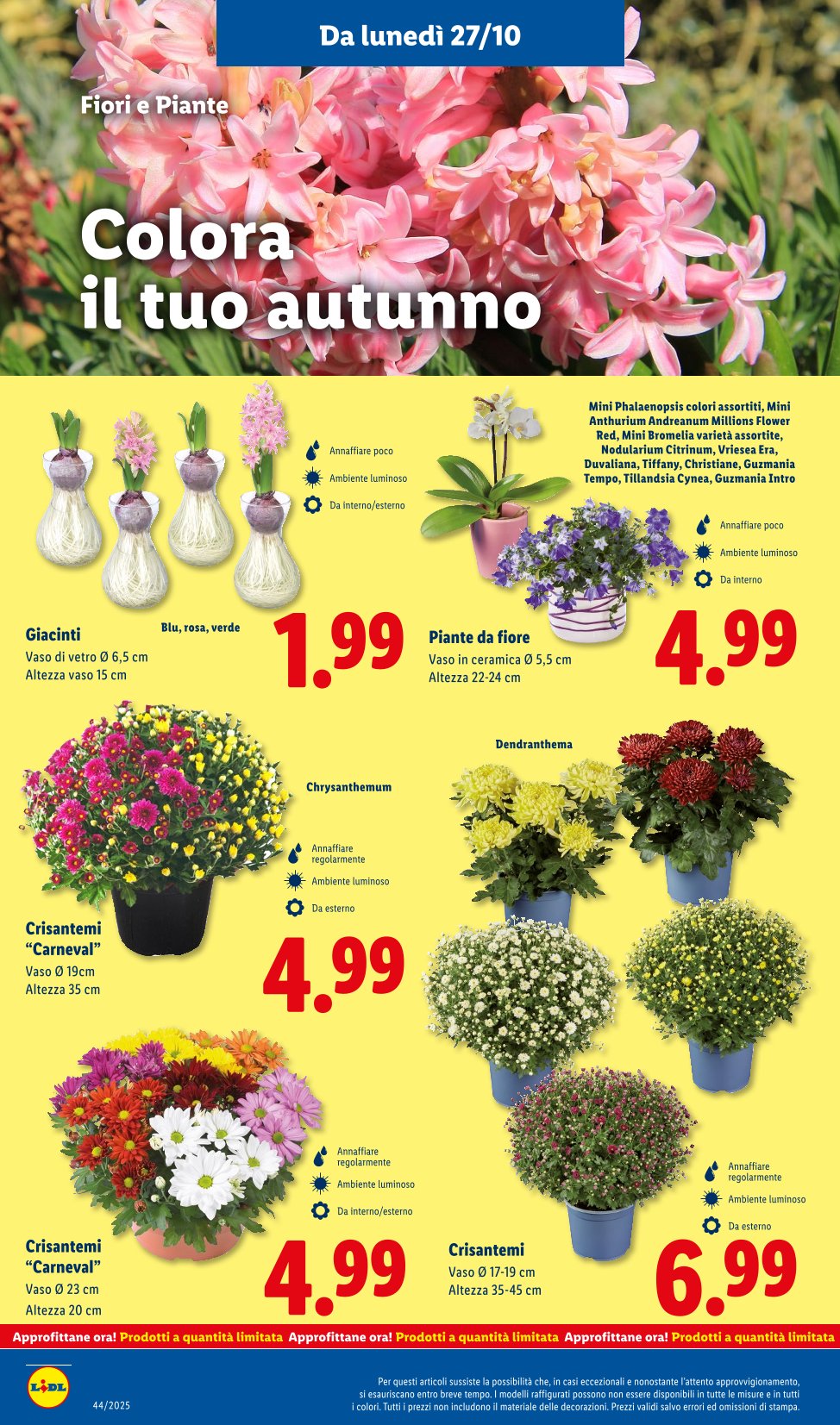 L'emozione Deluxe vale Davvero