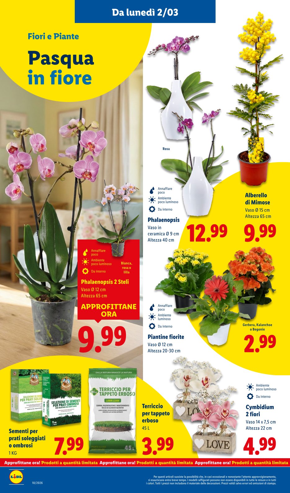 Ogni Giorno Spendi Meno