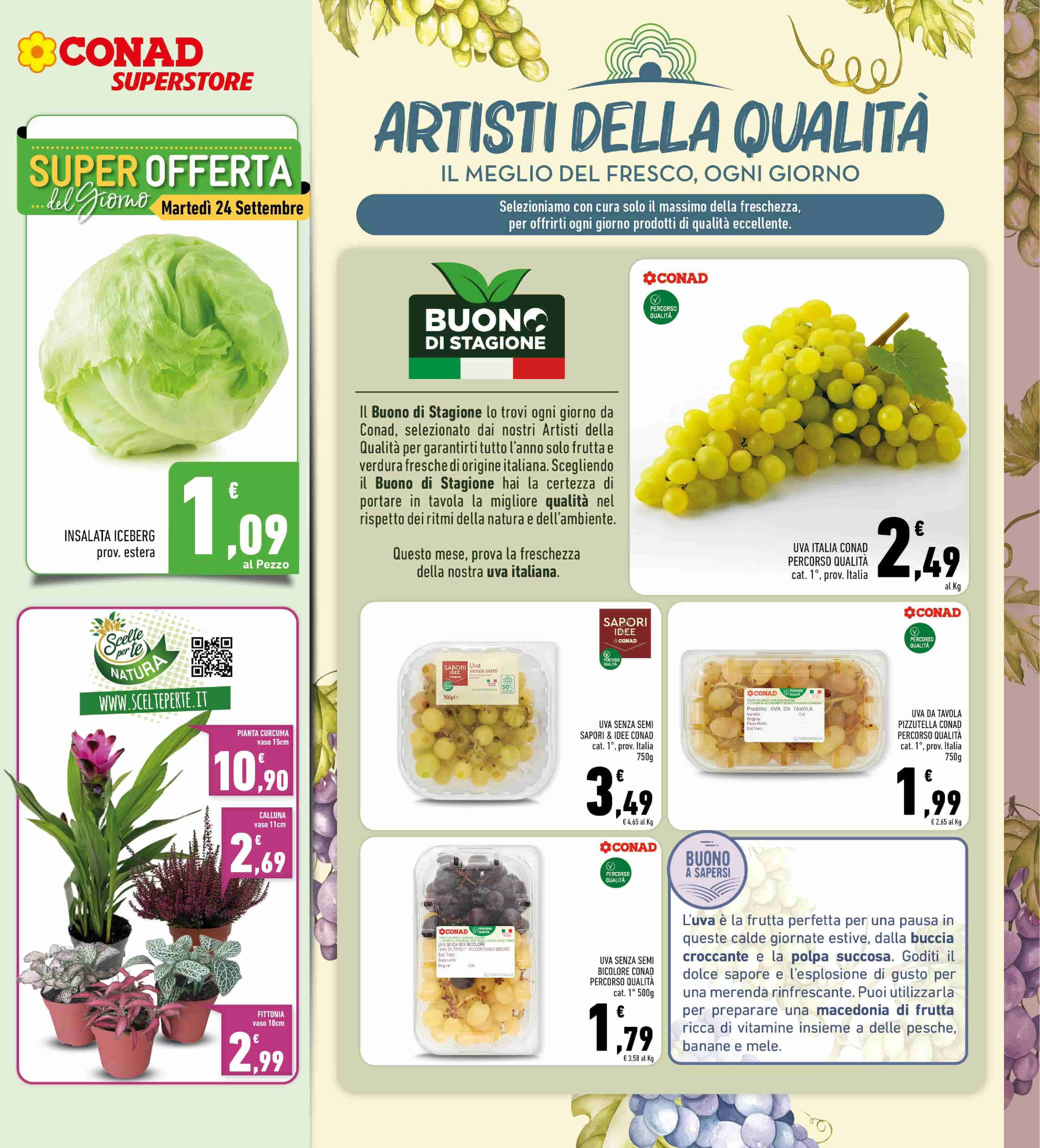 Conad SuperStore | Convenienza Grande